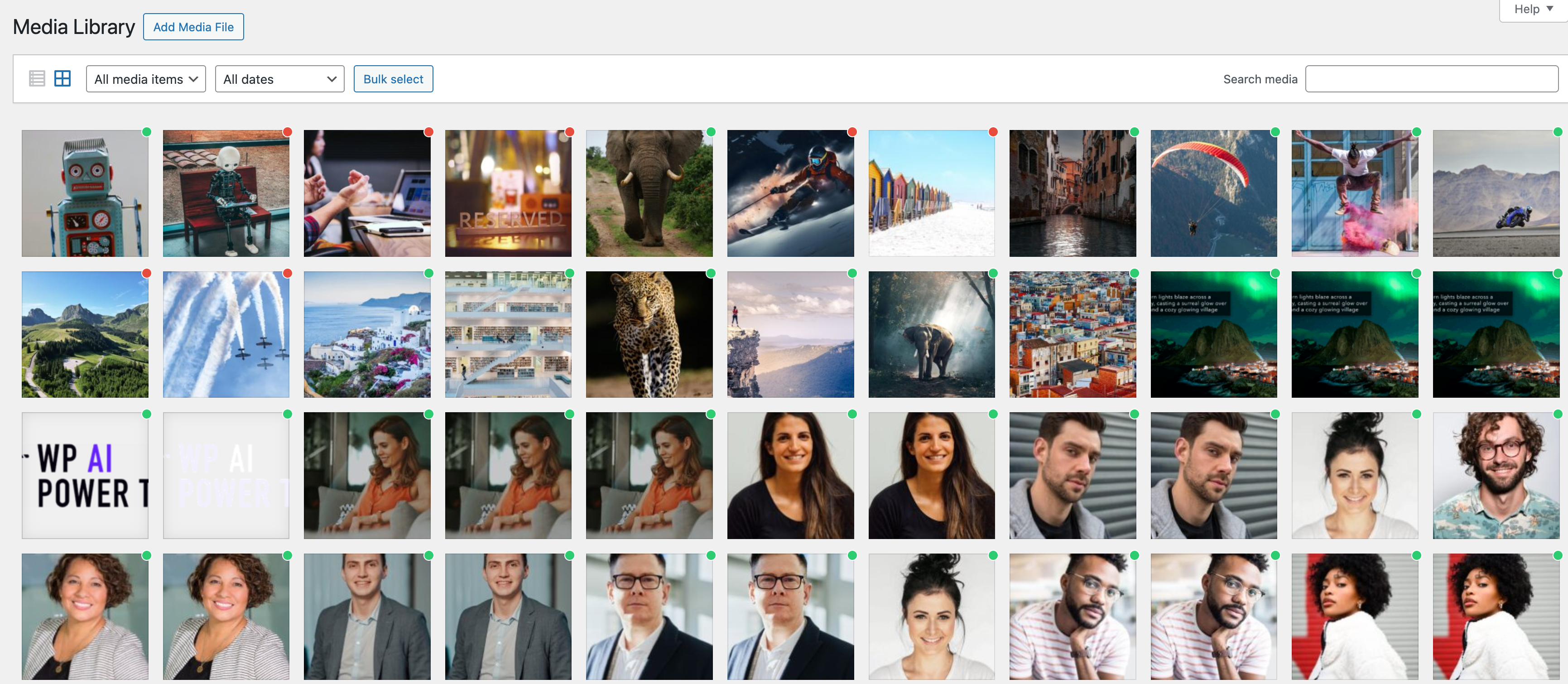 Screenshot of the schemas tab