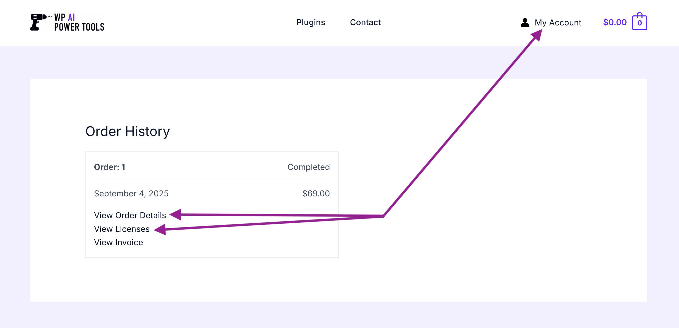 Screenshot of where to retrieve pro key and download in account portal